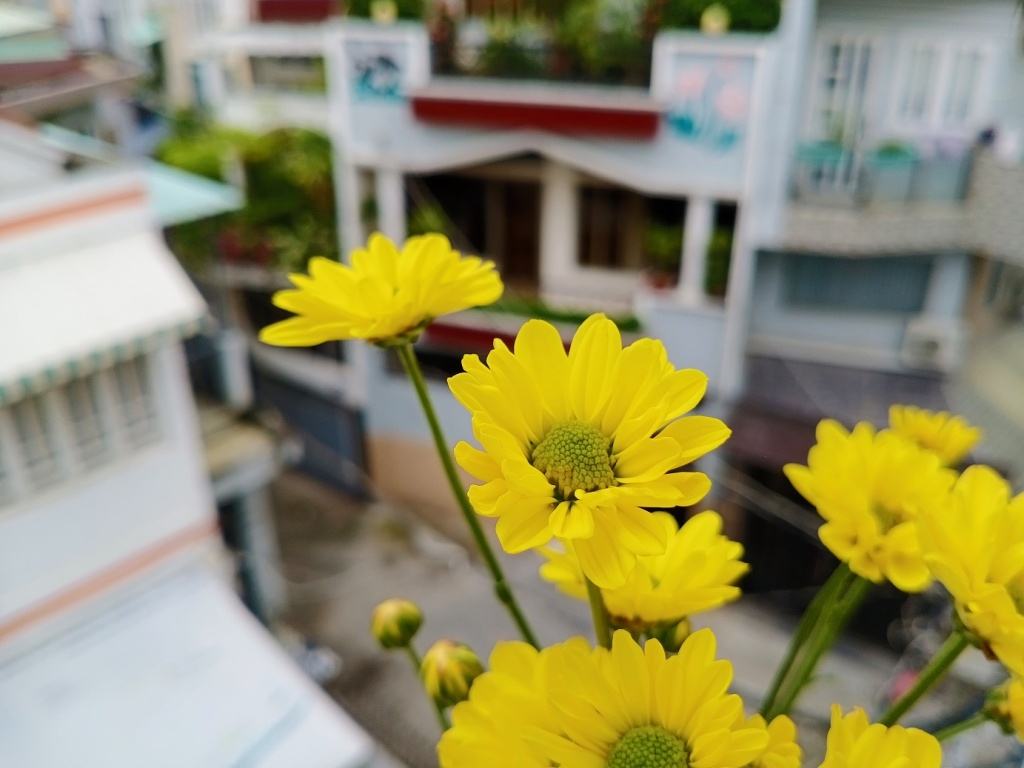vivo-s1-camera-review-danh-gia-migovi (4)