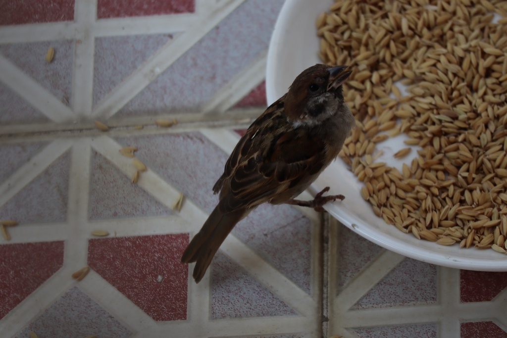 danh-gia-canon-eos-m200-review-selfie-vlog-shot-migovi-1