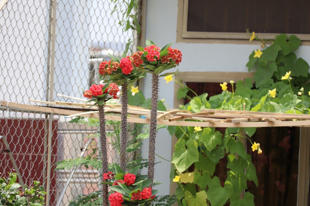 danh-gia-canon-eos-m200-review-selfie-vlog-shot-migovi-5