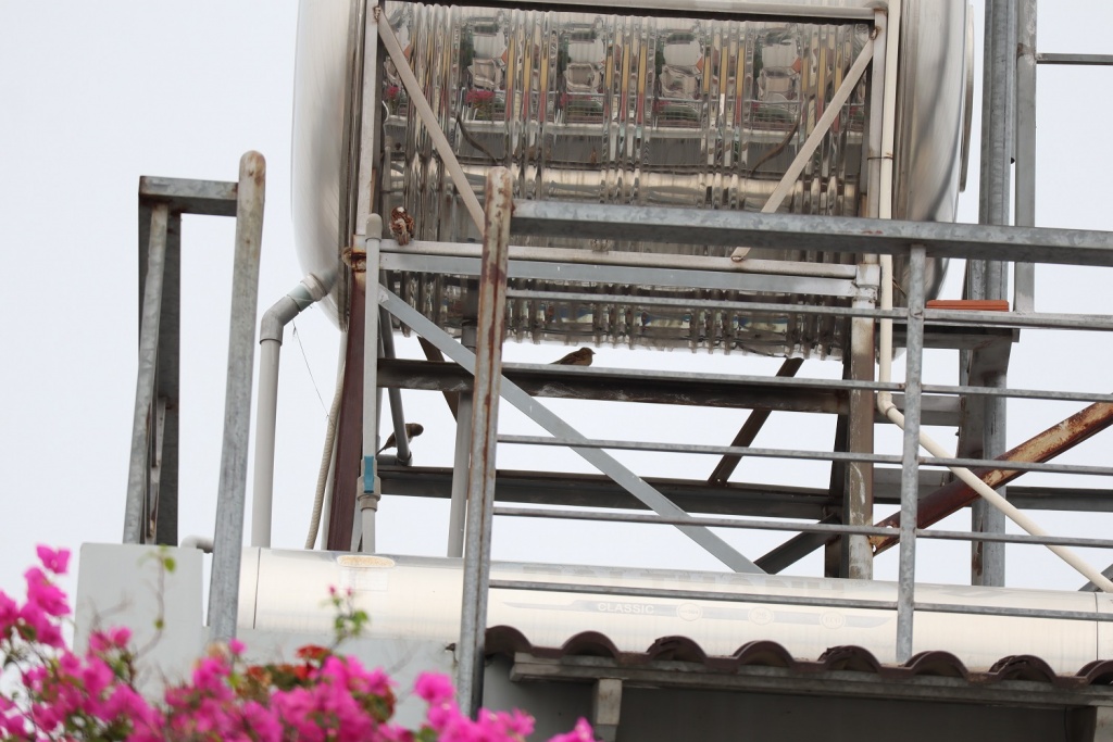 danh-gia-canon-eos-m200-review-selfie-vlog-shot-migovi-6