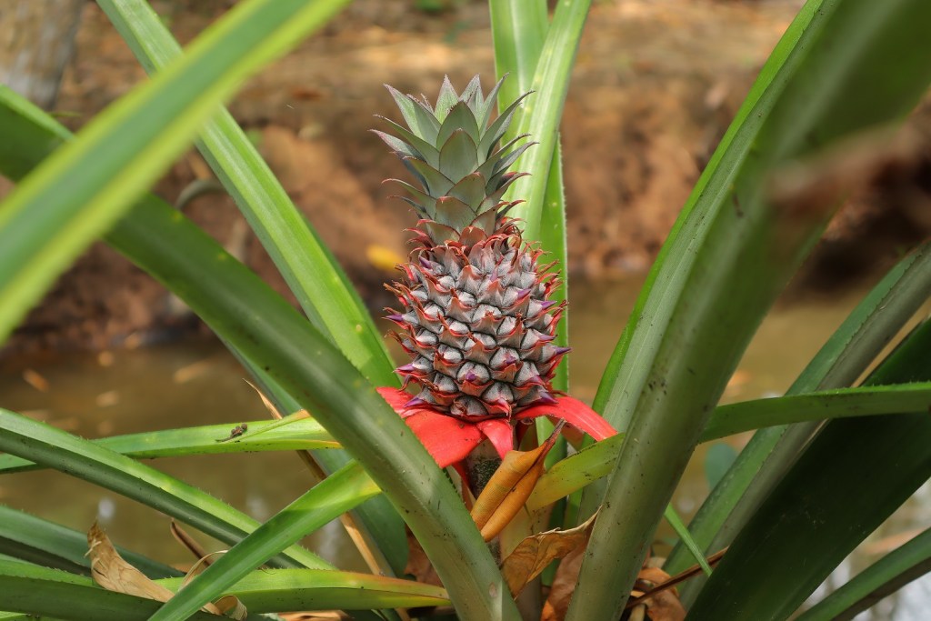 canon-eos-m50-mark-ii-sample-image-migovi-2