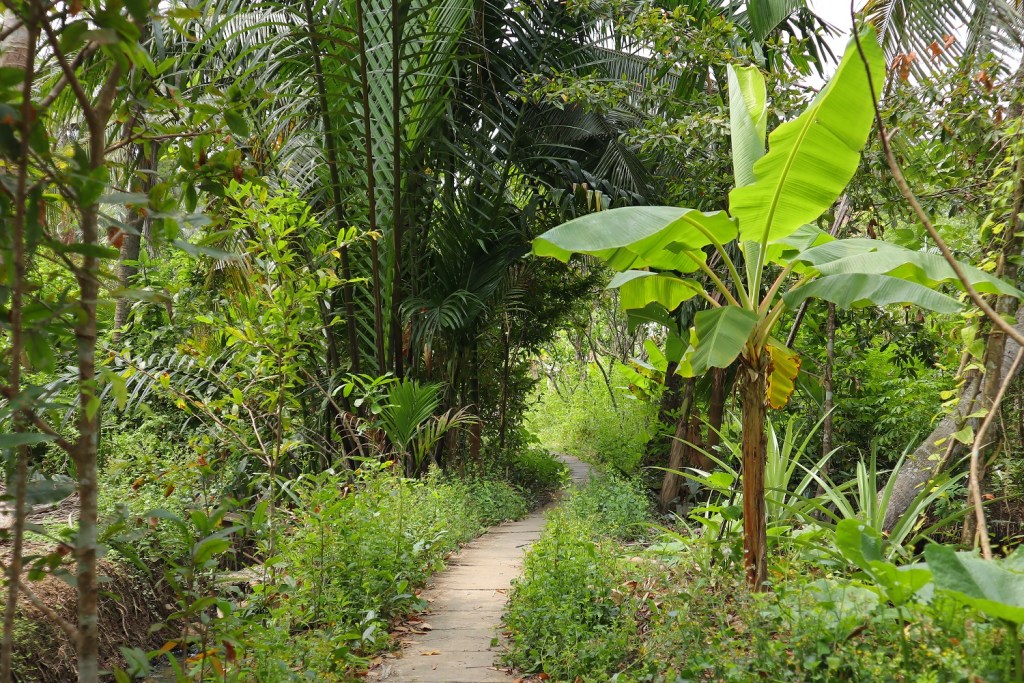 canon-eos-m50-mark-ii-sample-image-migovi-3