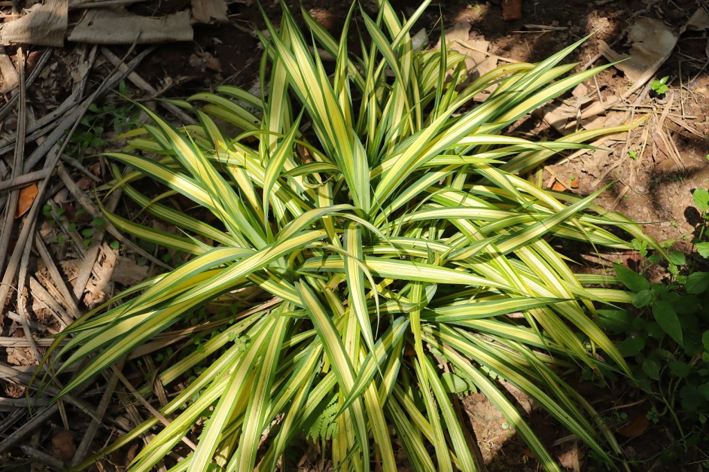 canon-eos-m50-mark-ii-sample-image-migovi-4