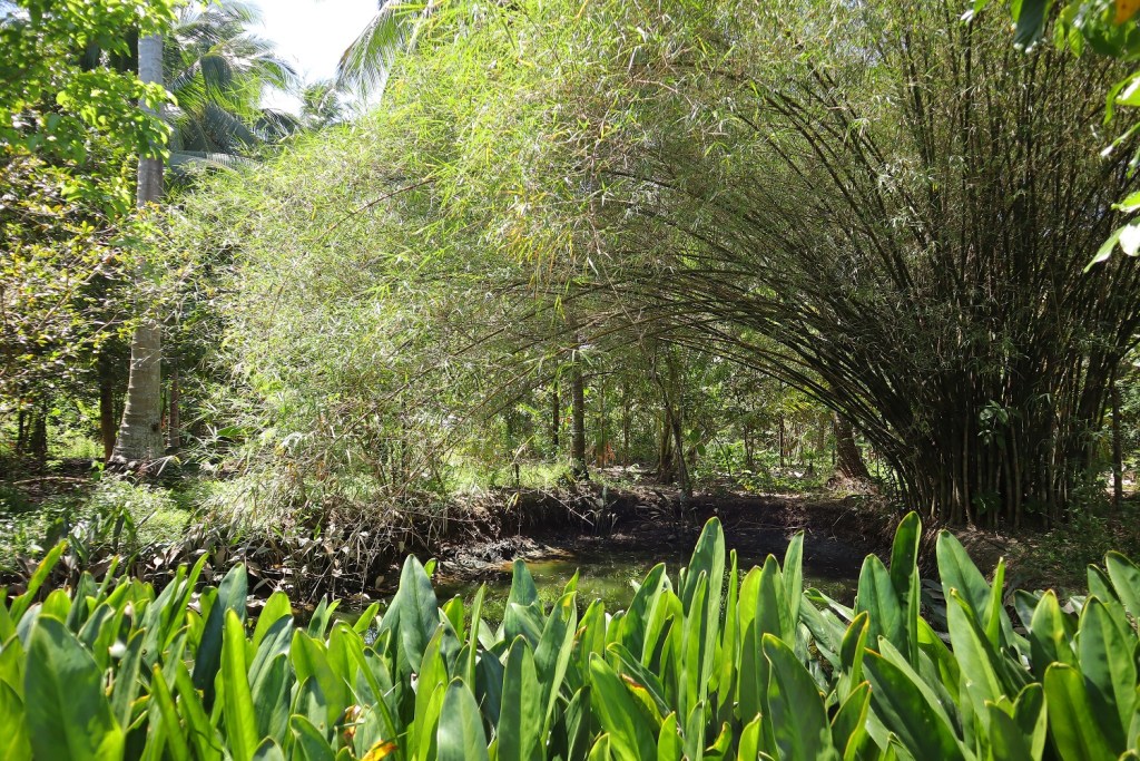 canon-eos-m50-mark-ii-sample-image-migovi-5