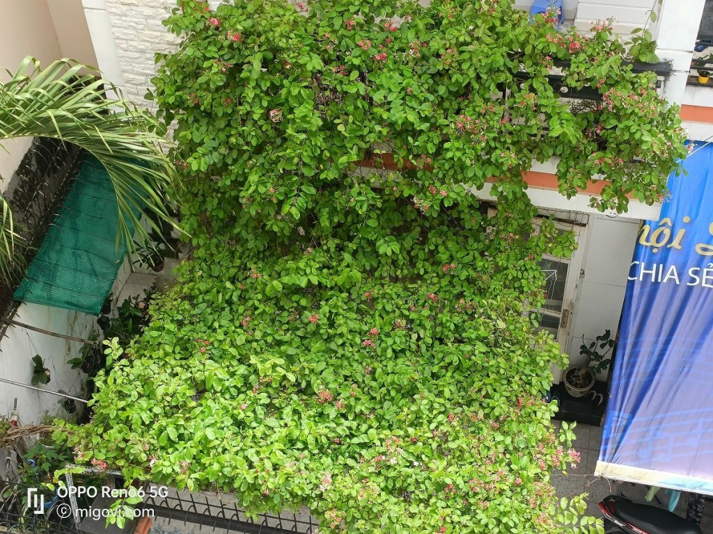 danh-gia-oppo-reno6-5g-review-camera-migovi-5