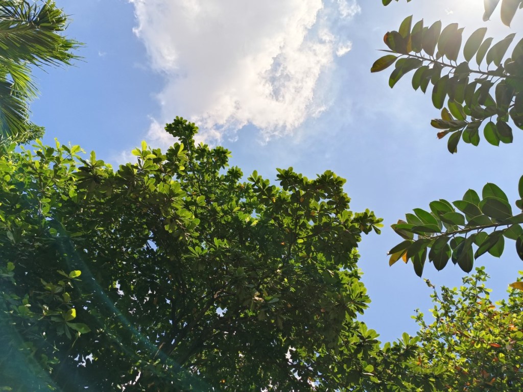 oppo-reno8-5g-review-camera-migovi-4