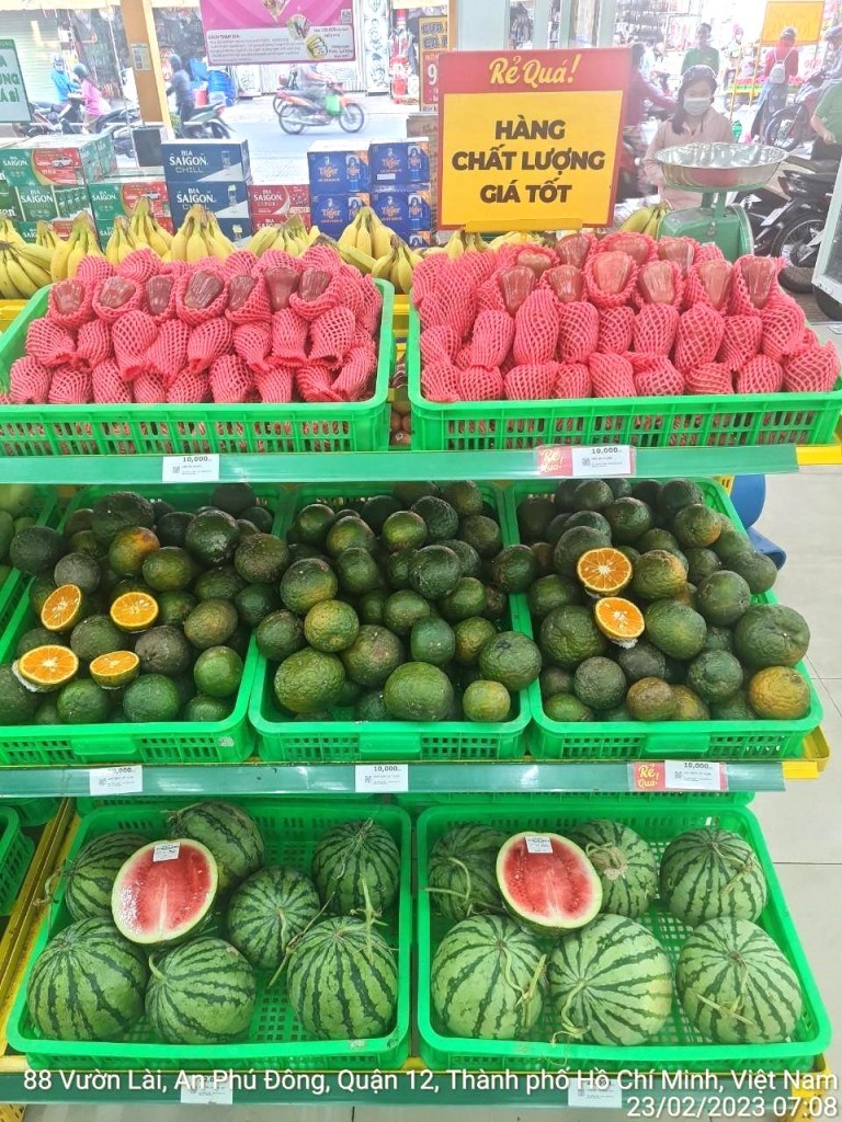 bach-hoa-xanh-tieu-thu-hang-tram-tan-cam-sanh-vinh-long-migovi-1