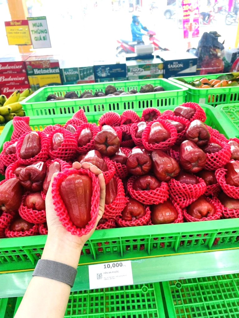 bach-hoa-xanh-tieu-thu-hang-tram-tan-cam-sanh-vinh-long-migovi-4