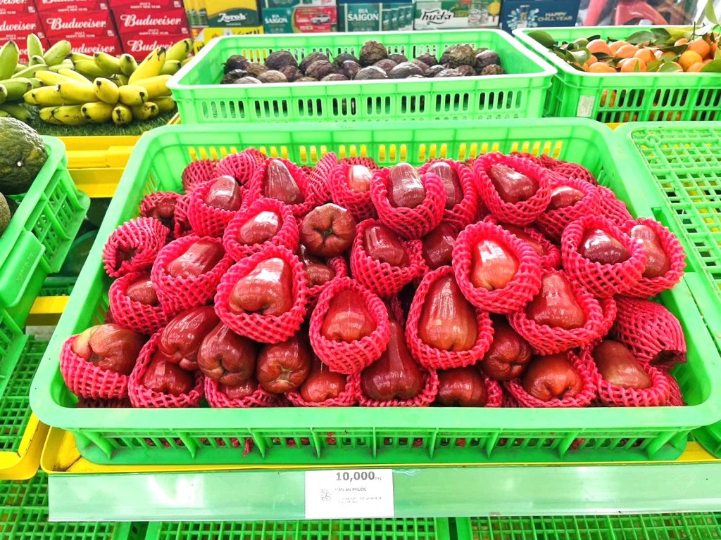 bach-hoa-xanh-tieu-thu-hang-tram-tan-cam-sanh-vinh-long-migovi-5