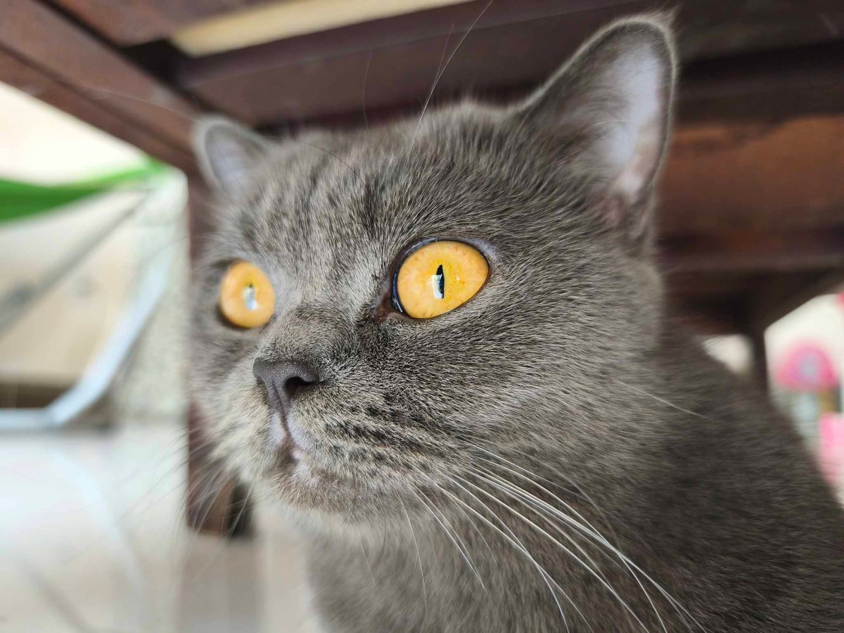 xiaomi-redmi-note-14-pro-5g-camera-test-migovi