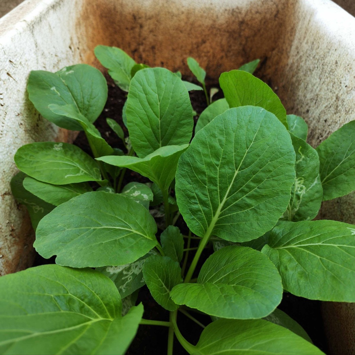 IMG_20250615_131414 copy