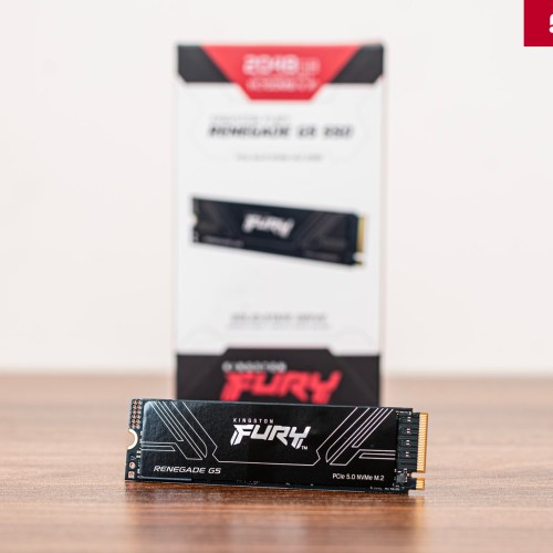 famous-kingston-fury-renegade-g5-review-migovi