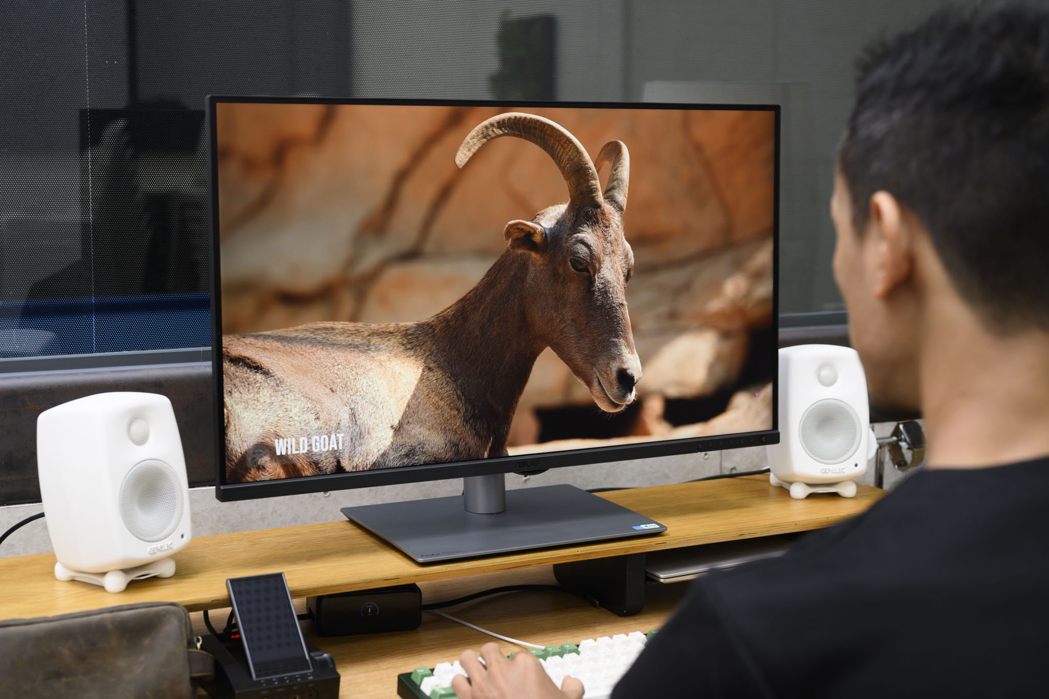 famous-gia-asus-proart-pa32qcv-6k-review-migovi