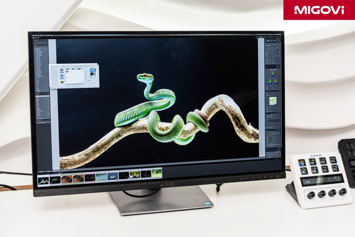 asus-proart-pa32qcv-pa27jcv-pa24us-xg32ucwmg-migovi