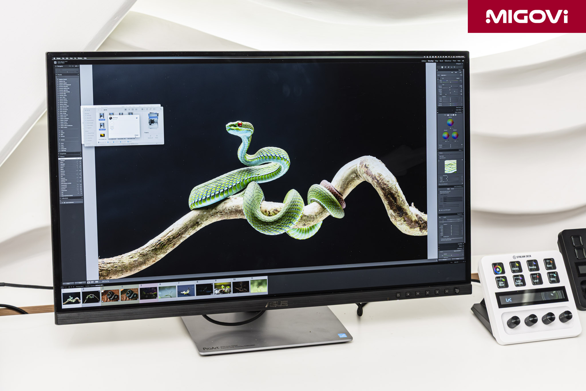 asus-proart-pa32qcv-pa27jcv-pa24us-xg32ucwmg-migovi