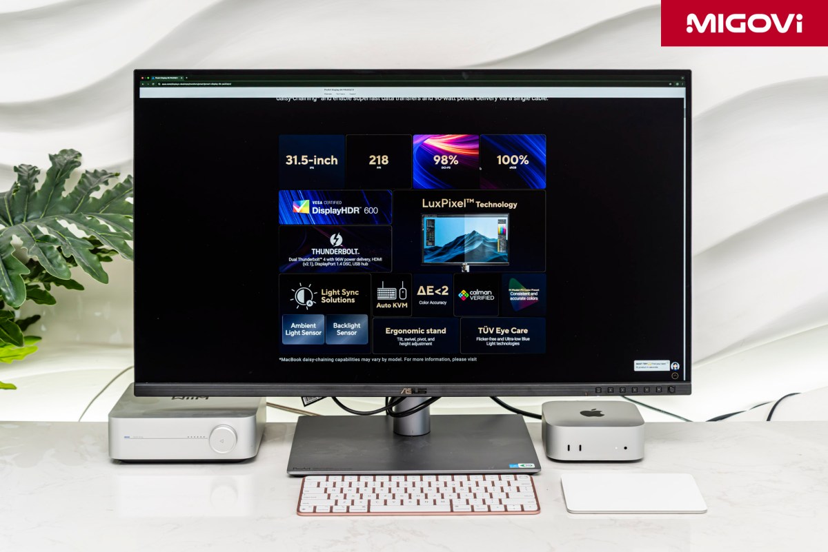 asus-proart-pa32qcv-pa27jcv-pa24us-xg32ucwmg-migovi