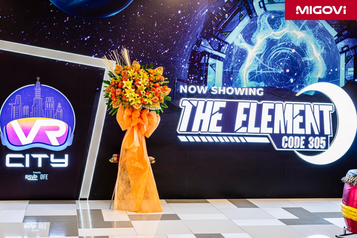 vr-city-element-code-305-rsvp-dfe-migovi