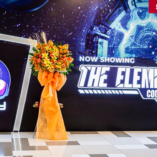 vr-city-element-code-305-rsvp-dfe-migovi