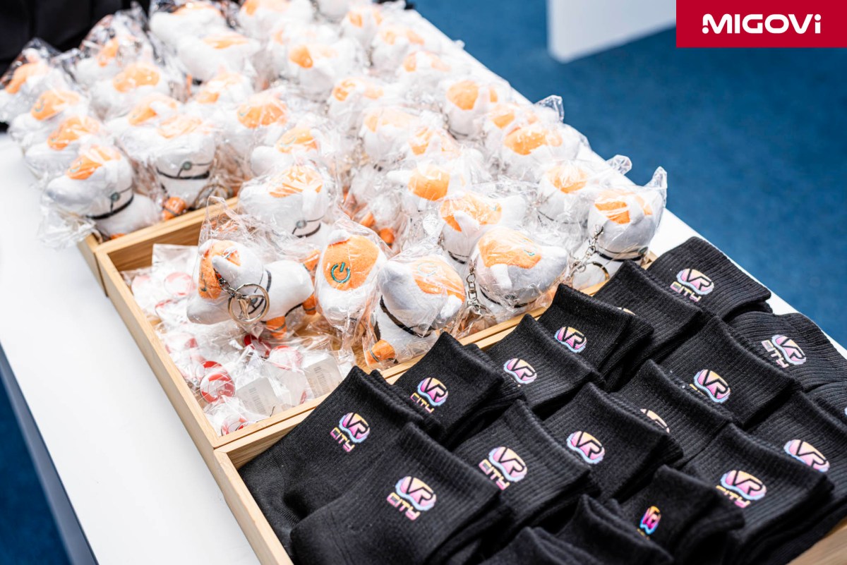 vr-city-element-code-305-rsvp-dfe-migovi