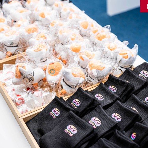 vr-city-element-code-305-rsvp-dfe-migovi