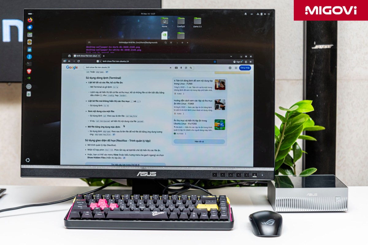 asus-ascent-gx10-workshop-tinhte-migovi