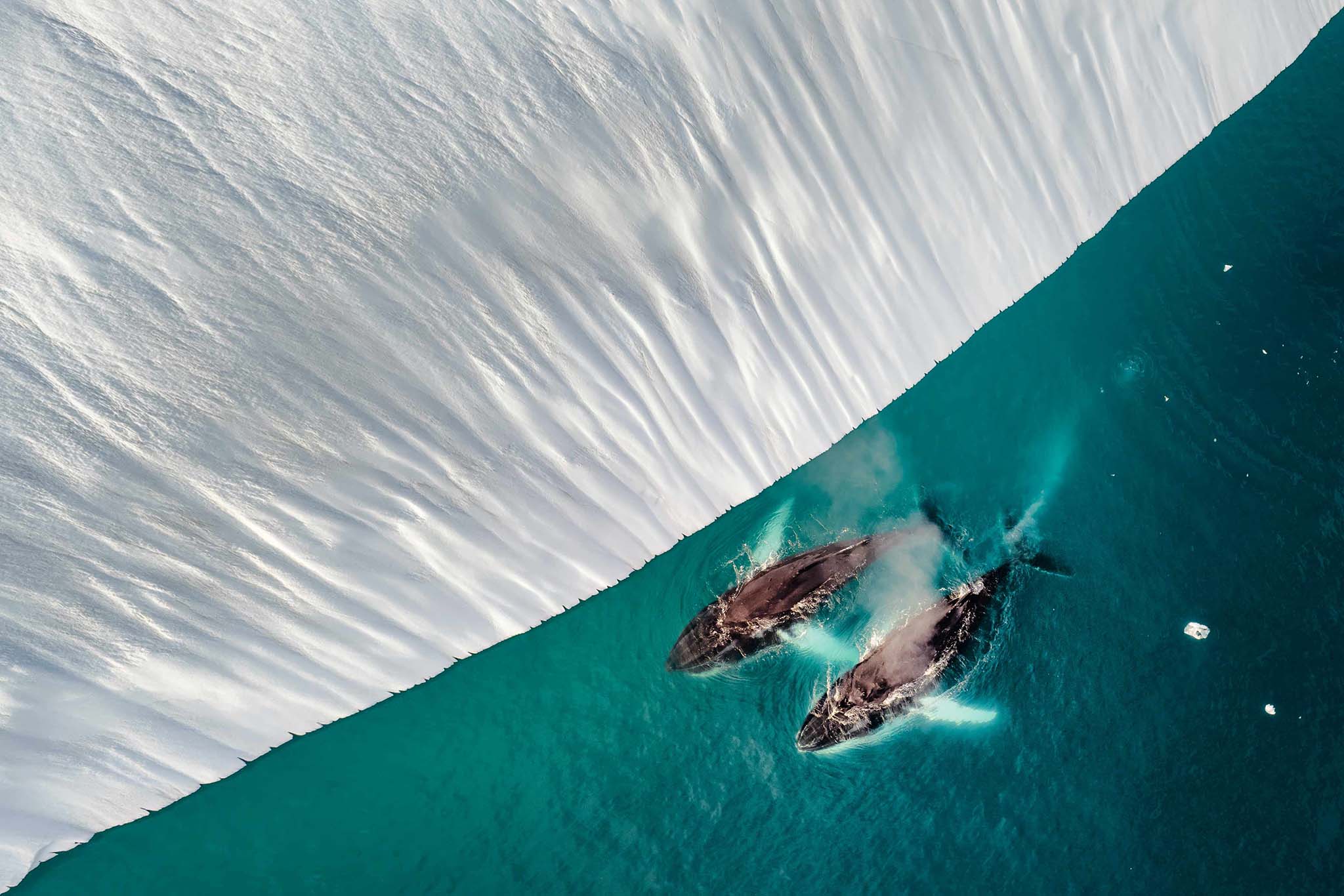 ket-qua-viewsonic-colorpro-awards-6th-2025-flow-parallel-flow-melts-into-breath-viet-bui-xuan-migovi