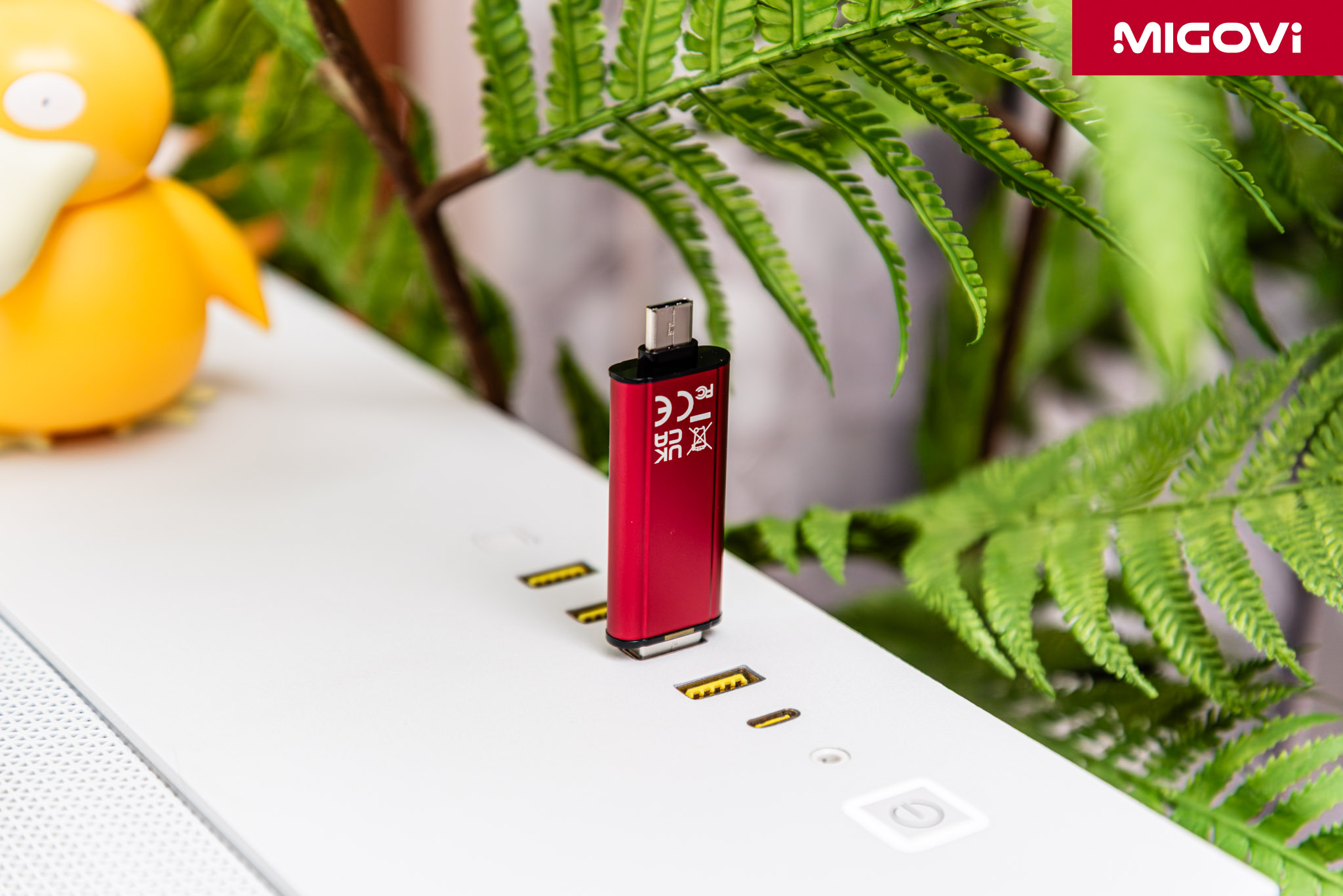 kingston-dual-portable-ssd-1-tb-review-migovi