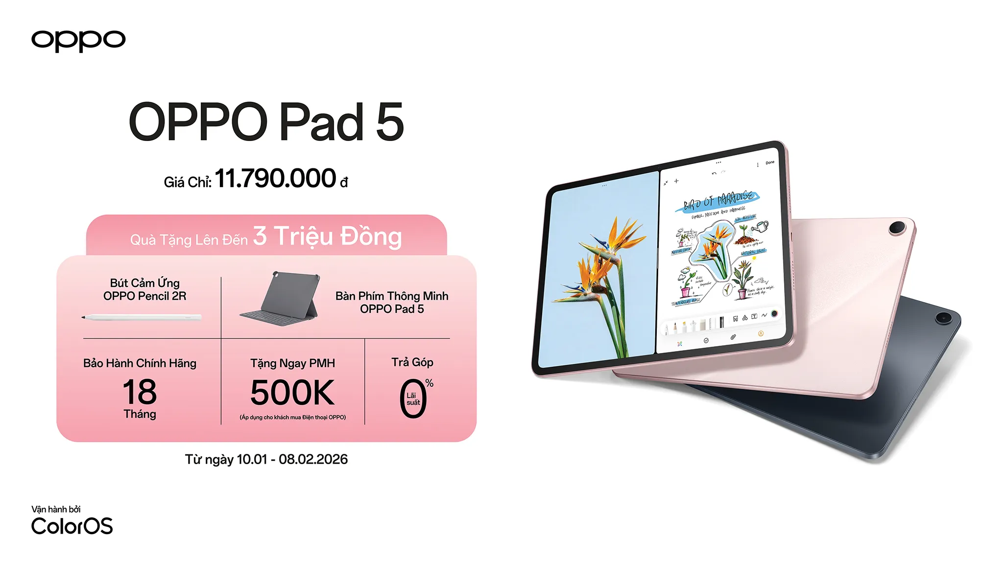 Oppo Pad 5 Man Hinh Nham Soft Light Hot Sale