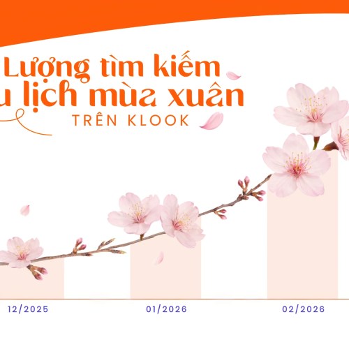 Dân tình đổ xô đi ngắm hoa anh đào 2026: Klook tung chiêu gì để hút khách?