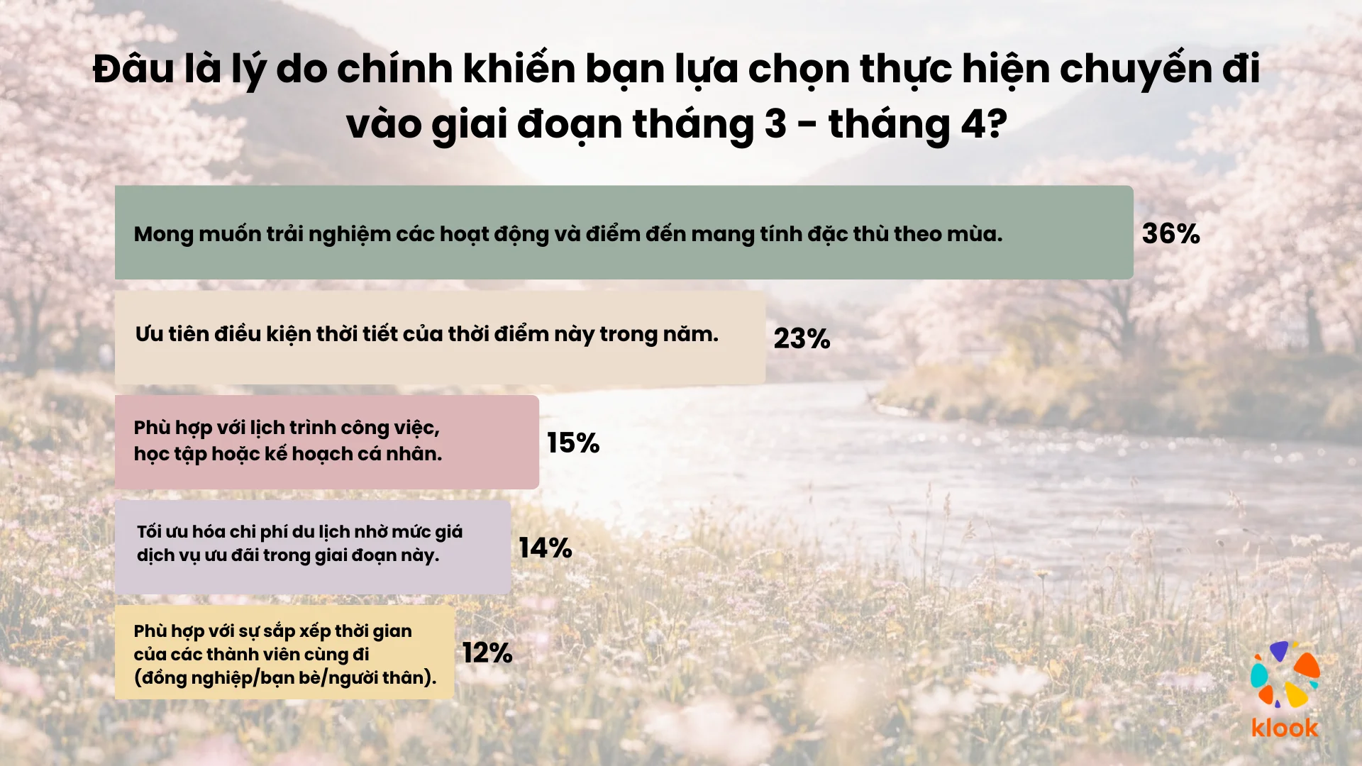 Klook Ngam Hoa Anh Dao 2026 1