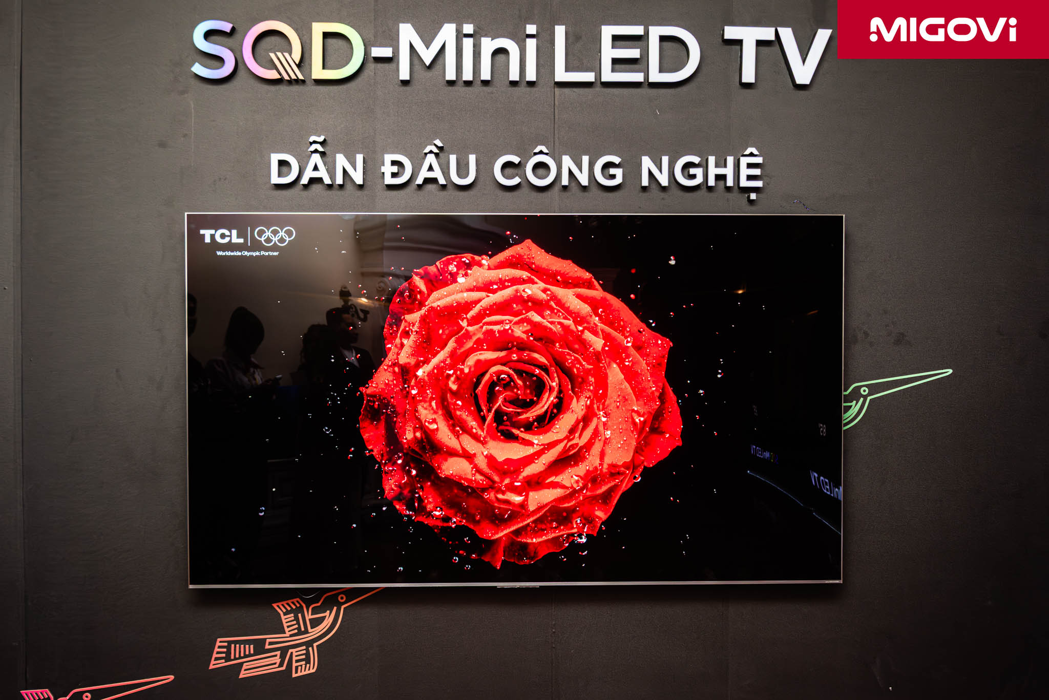 Hands On Tcl C8l 85 Inch 2026 Sqd Mini Led Migovi 2