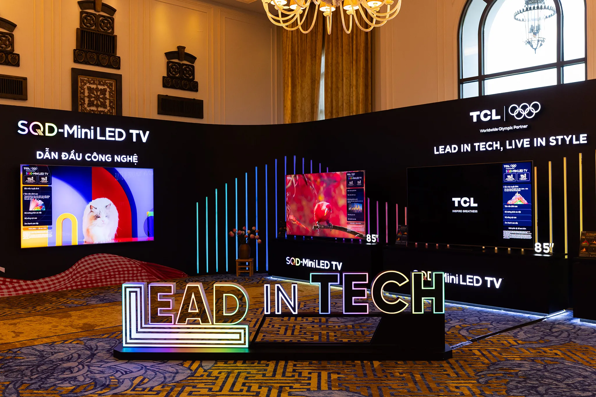 Tcl Hai Sau Sau 266 Tv C8l 2