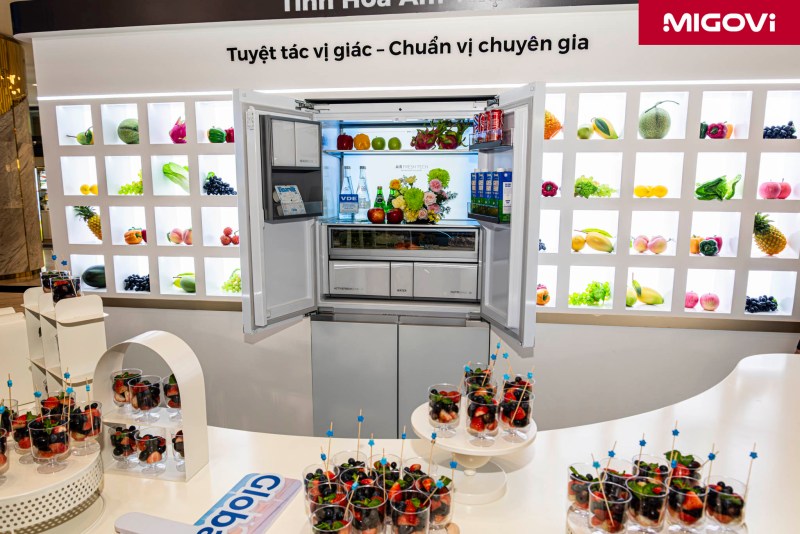 Tu Lanh Haier Horizon Migovi 4