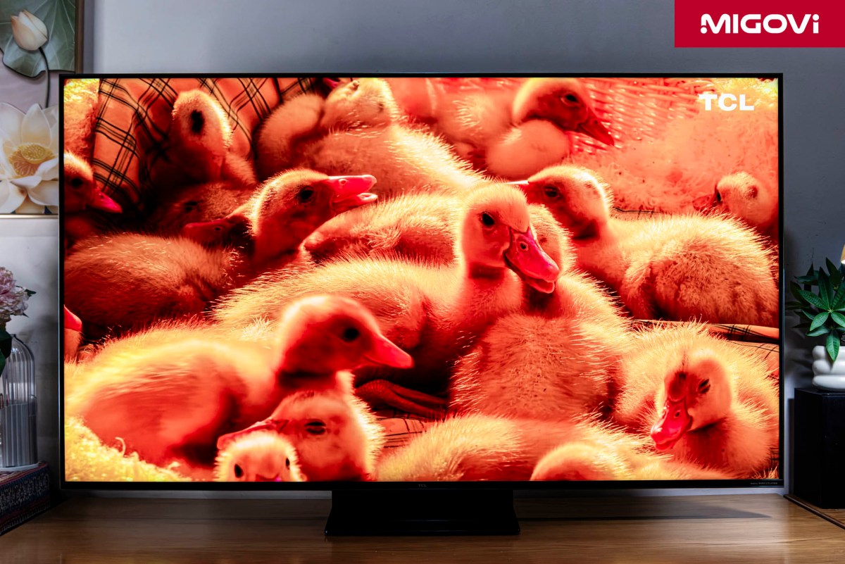 Tcl 55c8l C8l Sqd Mini Led Tv Review Migovi 4