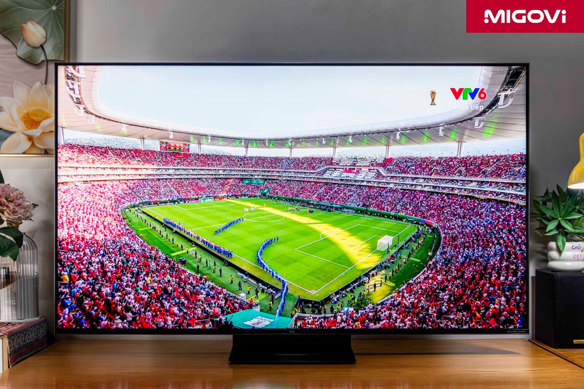 Tcl 55c8l C8l Sqd Mini Led Tv Review Migovi 6
