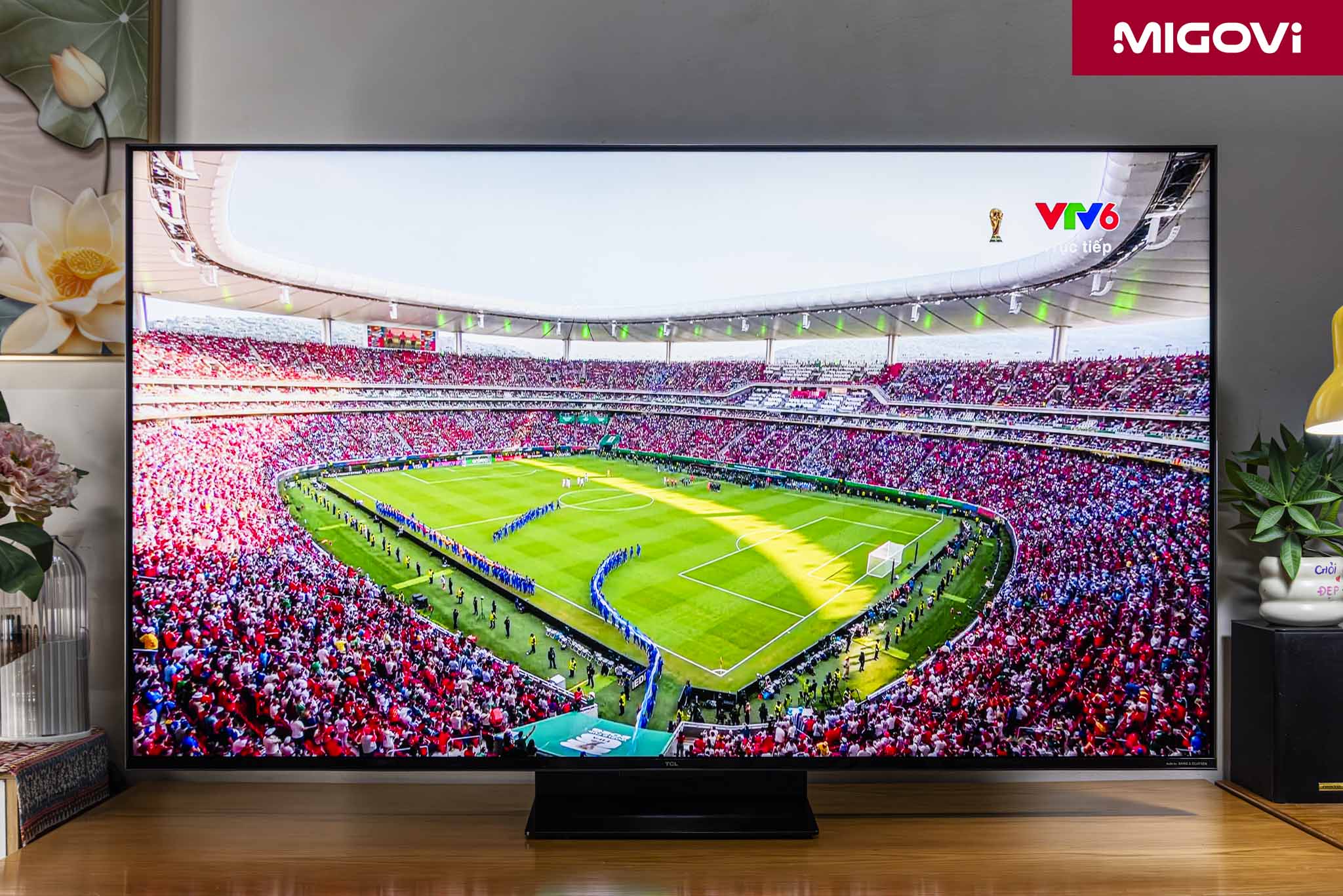 Tcl 55c8l C8l Sqd Mini Led Tv Review Migovi 6