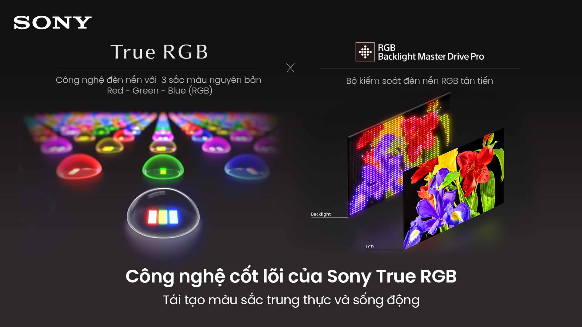 Sony Bravia 9 Ii King Of Rgb Led Tv 2026 2